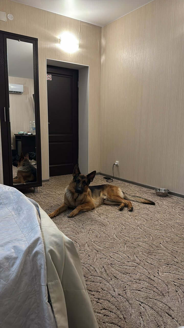 Мини-отель Щедрино Ярославль-119