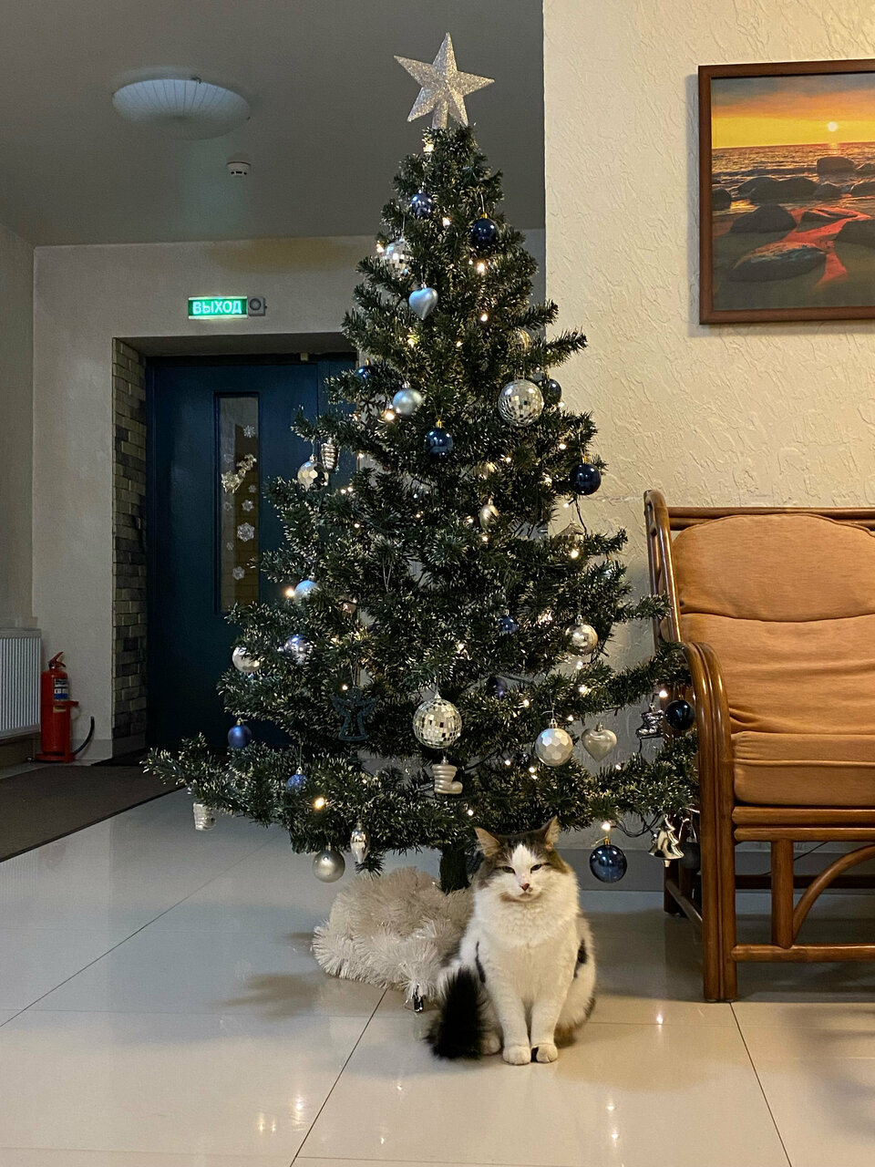 Мини-отель Щедрино Ярославль-85