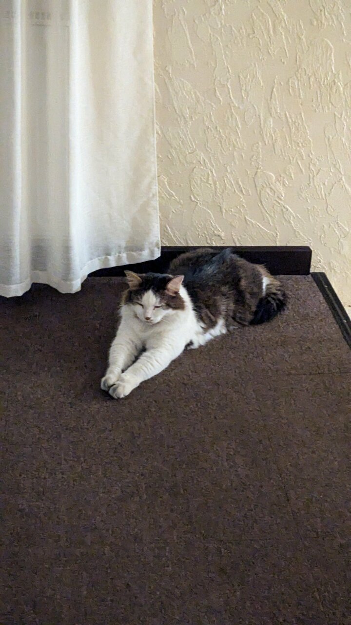 Мини-отель Щедрино Ярославль-102