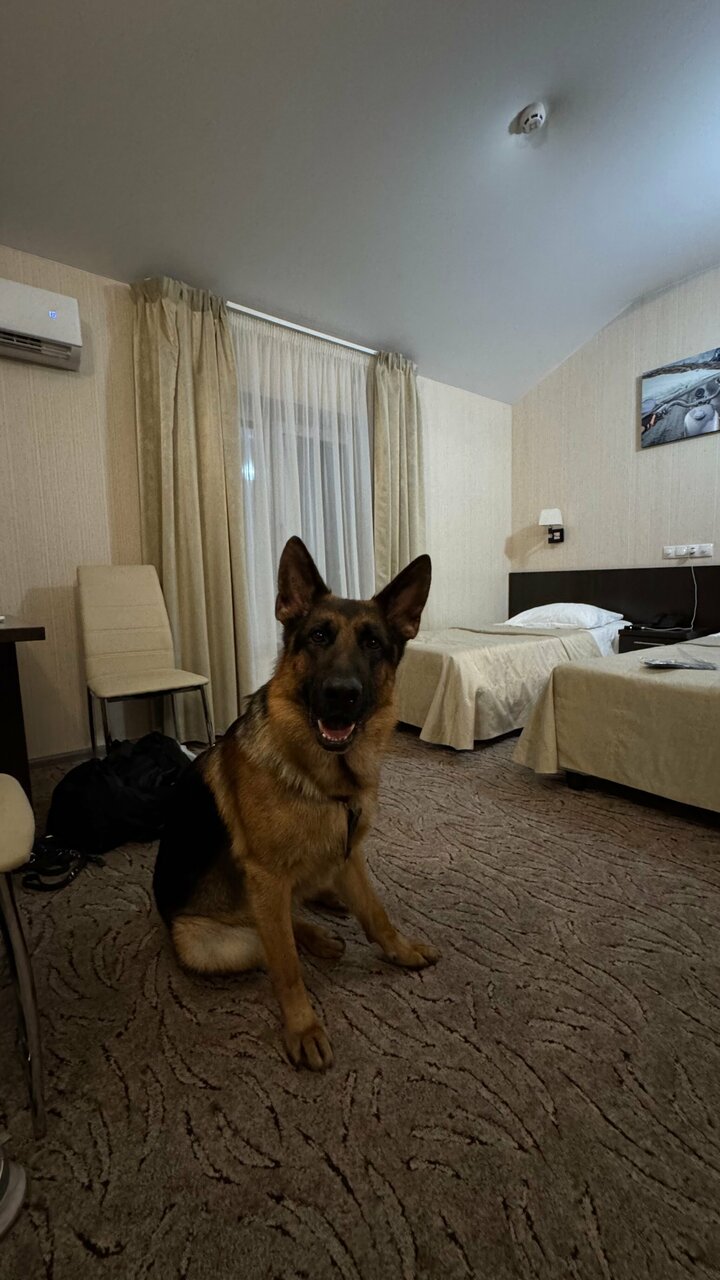 Мини-отель Щедрино Ярославль-103