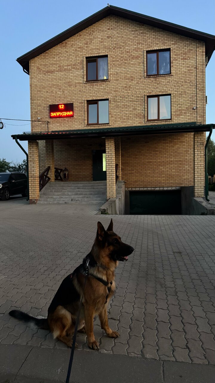 Мини-отель Щедрино Ярославль-81