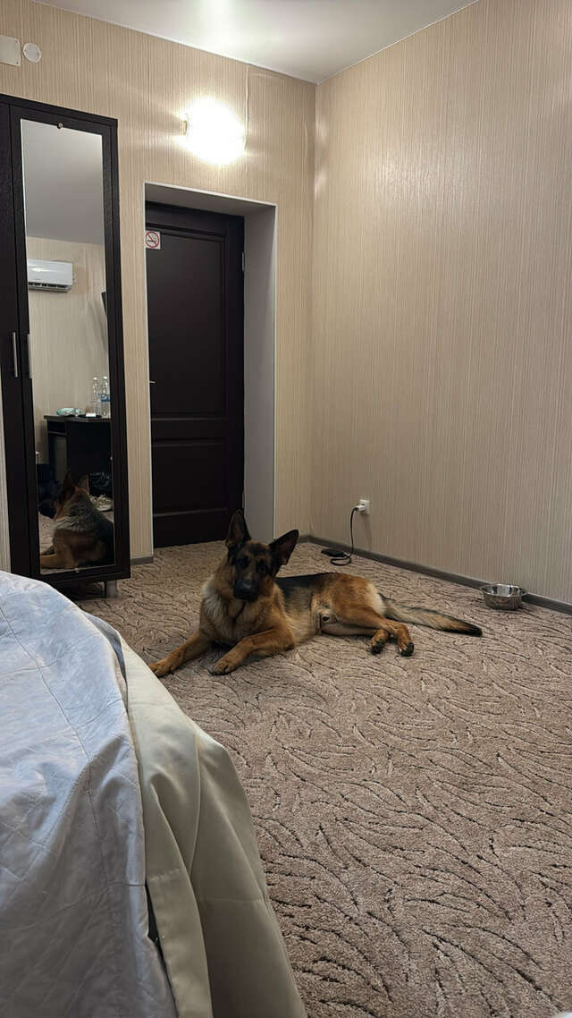 Мини-отель Щедрино Ярославль-118