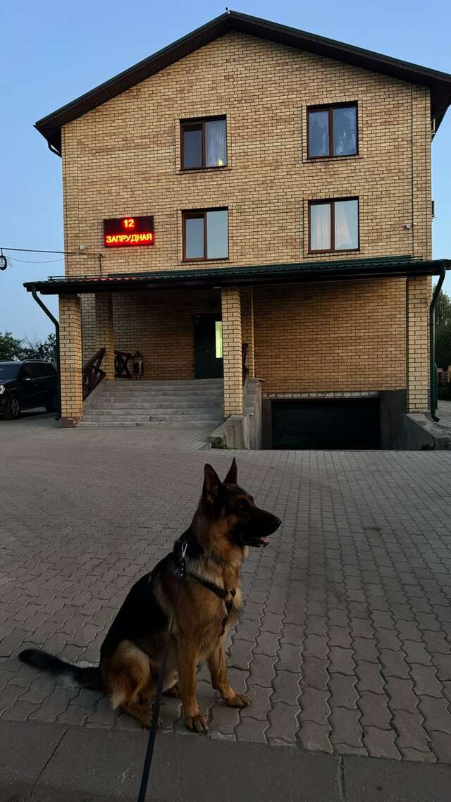 Мини-отель Щедрино Ярославль-80